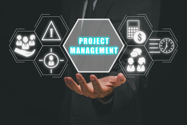 Nexus Project Management Interface